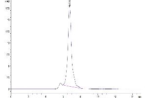 The purity of Mouse CD27 Ligand/CD70 is greater than 95 % as determined by SEC-HPLC.