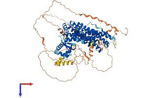 AlphaFold protein structure predicition of Human Recombinant RFX2 Protein, UniprotID P48378