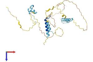 AlphaFold protein structure predicition of Mouse Recombinant Fam110a Protein, UniprotID Q8R184