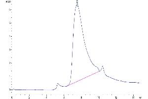 The purity of Human CD79B is greater than 95 % as determined by SEC-HPLC.