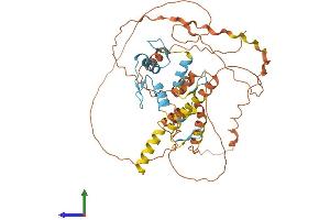 AlphaFold protein structure predicition of Human Recombinant ZBTB12 Protein, UniprotID Q9Y330