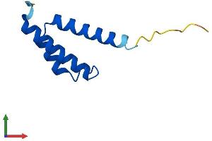 AlphaFold protein structure predicition of Mouse Recombinant Coa6 Protein, UniprotID Q8BGD8
