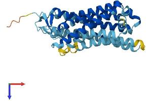 Olfactory Receptor, Family 4, Subfamily K, Member 13 (OR4K13) (AA 1-304) protein (His tag)