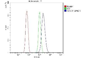 Flow Cytometry analysis of NRK cells using anti-HOXD11 antibody (ABIN7603174).