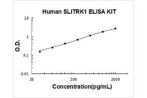 SLIT and NTRK-Like Family, Member 1 (SLITRK1) ELISA Kit