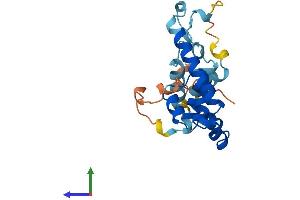 AlphaFold protein structure predicition of Human Recombinant TBC1D28 Protein, UniprotID Q2M2D7