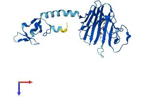 AlphaFold protein structure predicition of Human Recombinant RFPL4AL1 Protein, UniprotID F8VTS6