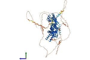 AlphaFold protein structure predicition of Human Recombinant HCN1 Protein, UniprotID O60741