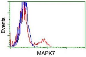 HEK293T cells transfected with either RC203506 overexpress plasmid (Red) or empty vector control plasmid (Blue) were immunostained by anti-MAPK7 antibody (ABIN2453998), and then analyzed by flow cytometry. (MAPK7 anticorps)