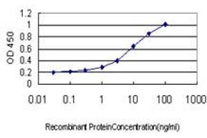 Detection limit for recombinant GST tagged TEK is approximately 0. (TEK anticorps  (AA 701-800))