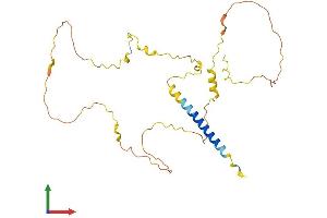 AlphaFold protein structure predicition of Mouse Recombinant Lime1 Protein, UniprotID Q9EQR5