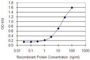 Detection limit for recombinant GST tagged DDX4 is 0.