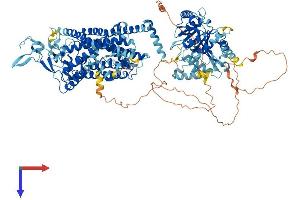 AlphaFold protein structure predicition of Mouse Recombinant Slc12a5 Protein, UniprotID Q91V14