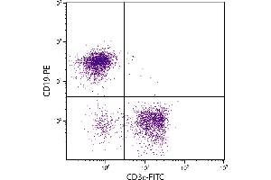 C57BL/6 mouse splenocytes were stained with Rat Anti-Mouse CD3ε-FITC.