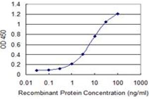 Detection limit for recombinant GST tagged HEXIM1 is 0. (HEXIM1 anticorps  (AA 1-359))