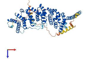 AlphaFold protein structure predicition of Mouse Recombinant Ppp2r5c Protein, UniprotID Q60996