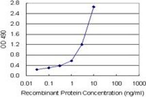 SPP1 (Human) Matched Antibody Pair