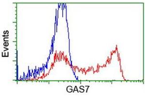 HEK293T cells transfected with either RC215256 overexpress plasmid (Red) or empty vector control plasmid (Blue) were immunostained by anti-GAS7 antibody (ABIN2453059), and then analyzed by flow cytometry. (GAS7 anticorps)