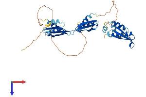 AlphaFold protein structure predicition of Mouse Recombinant Tarbp2 Protein, UniprotID P97473