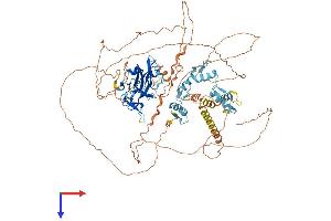 AlphaFold protein structure predicition of Mouse Recombinant Prdm1 Protein, UniprotID Q60636
