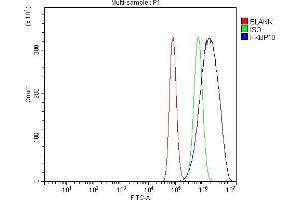 anti-FK506 Binding Protein 10, 65 KDa (FKBP10) (AA 29-532) antibody
