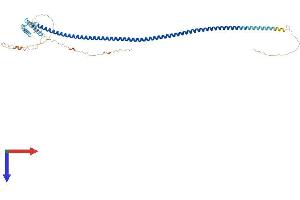 AlphaFold protein structure predicition of Human Recombinant IQCG Protein, UniprotID Q9H095