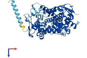 AlphaFold protein structure predicition of Mouse Recombinant Cyp2c40 Protein, UniprotID P56657