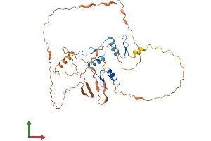 AlphaFold protein structure predicition of Human Recombinant KLF8 Protein, UniprotID O95600