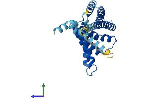AlphaFold protein structure predicition of Human Recombinant PEX11A Protein, UniprotID O75192