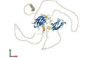 AlphaFold protein structure predicition of Mouse Recombinant Syt16 Protein, UniprotID Q7TN83