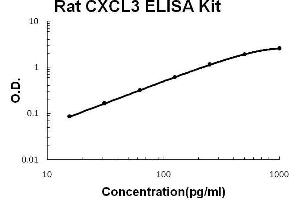 Rat CXCL3 PicoKine ELISA Kit standard curve (CXCL3 Kit ELISA)