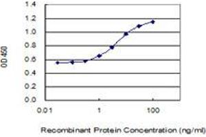 Detection limit for recombinant GST tagged LMNB1 is 0.