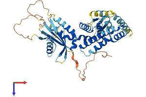 AlphaFold protein structure predicition of Human Recombinant C17orf75 Protein, UniprotID Q9HAS0
