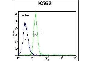 PTPN20A Antibody (Center) (ABIN655743 and ABIN2845189) flow cytometric analysis of K562 cells (right histogram) compared to a negative control cell (left histogram). (PTPN20A anticorps  (AA 178-207))