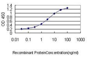 Detection limit for recombinant GST tagged HMGB2 is approximately 0. (HMGB2 anticorps  (AA 1-195))