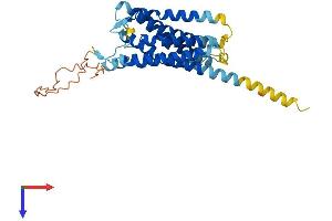 AlphaFold protein structure predicition of Mouse Recombinant Ackr1 Protein, UniprotID Q9QUI6