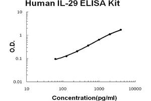 Human IL-29 Accusignal ELISA Kit Human IL-29 AccuSignal ELISA Kit standard curve. (IL29 Kit ELISA)