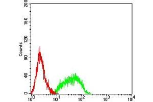Flow cytometric analysis of HL-60 cells using PTPRF mouse mAb (green) and negative control (red).