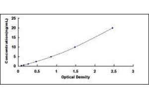 ELISA image for Adenylate Cyclase 6 (ADCY6) ELISA Kit (ABIN417045)
