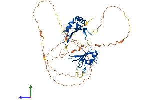 AlphaFold protein structure predicition of Mouse Recombinant Rbms1 Protein, UniprotID Q91W59