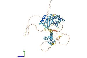 AlphaFold protein structure predicition of Mouse Recombinant Pcbp4 Protein, UniprotID P57724