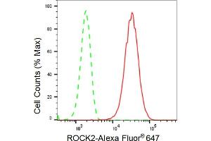 Flow cytometric analysis of ROCK2 expression in HepG2 cells using ROCK2 antibody (ABIN7800205), 1:2,000). (Recombinant ROCK2 anticorps)