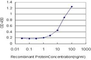Detection limit for recombinant GST tagged CAV3 is approximately 1ng/ml as a capture antibody. (Caveolin 3 anticorps  (AA 1-83))