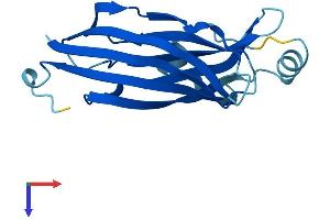 AlphaFold protein structure predicition of Human Recombinant B9D2 Protein, UniprotID Q9BPU9