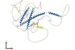 AlphaFold protein structure predicition of Human Recombinant NUP58 Protein, UniprotID Q9BVL2