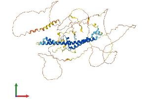AlphaFold protein structure predicition of Human Recombinant CREBRF Protein, UniprotID Q8IUR6