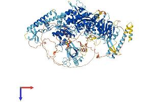 AlphaFold protein structure predicition of Human Recombinant MSH6 Protein, UniprotID P52701