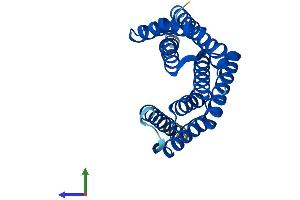 AlphaFold protein structure predicition of Human Recombinant YWHAG Protein, UniprotID P61981