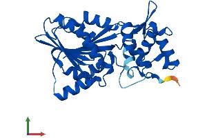 AlphaFold protein structure predicition of Human Recombinant HNMT Protein, UniprotID P50135