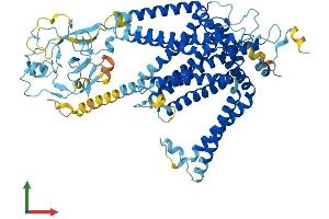 AlphaFold protein structure predicition of Human Recombinant SLC44A4 Protein, UniprotID Q53GD3